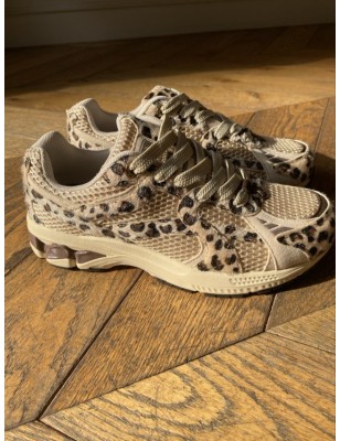 CITY RUN LEOPARD