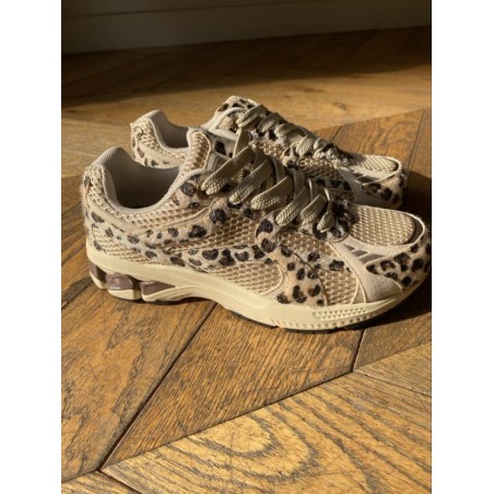 CITY RUN LEOPARD