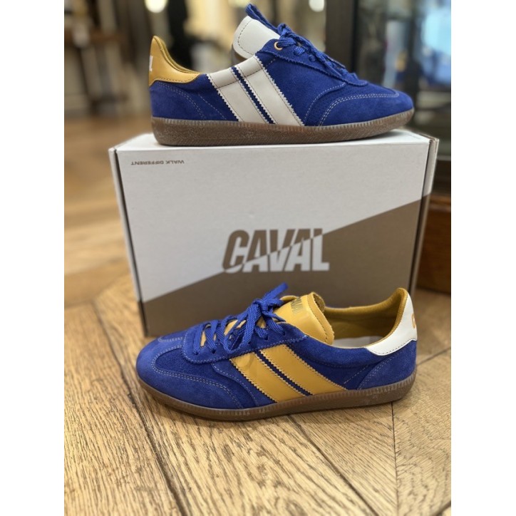 PULSE BLUE HERITAGE