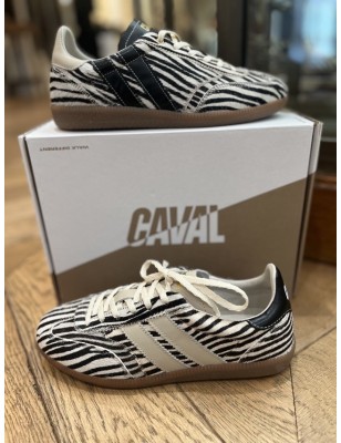 PULSE ZEBRA OBESSION