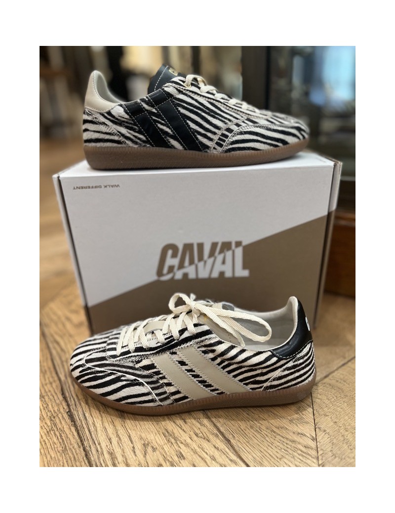 PULSE ZEBRA OBESSION