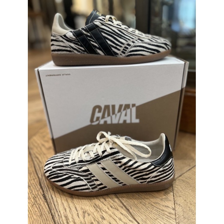 PULSE ZEBRA OBESSION