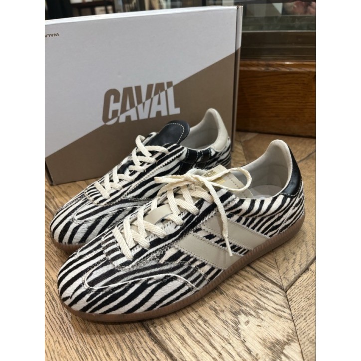 PULSE ZEBRA OBESSION